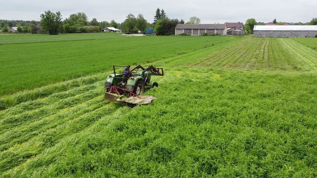 ☘️Kosimy mieszankę gorzowską!!! Deutz fahr d5506🚜. 04.05.2024