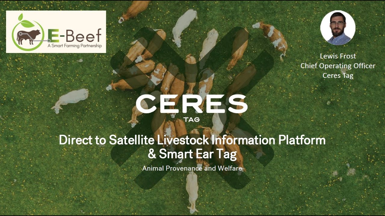 Direct to Satellite Livestock Information Platform and Smart Ear Tag (E Beef showcase #2)