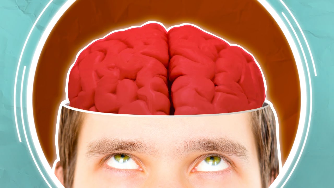 Can You Trust Your Brain?