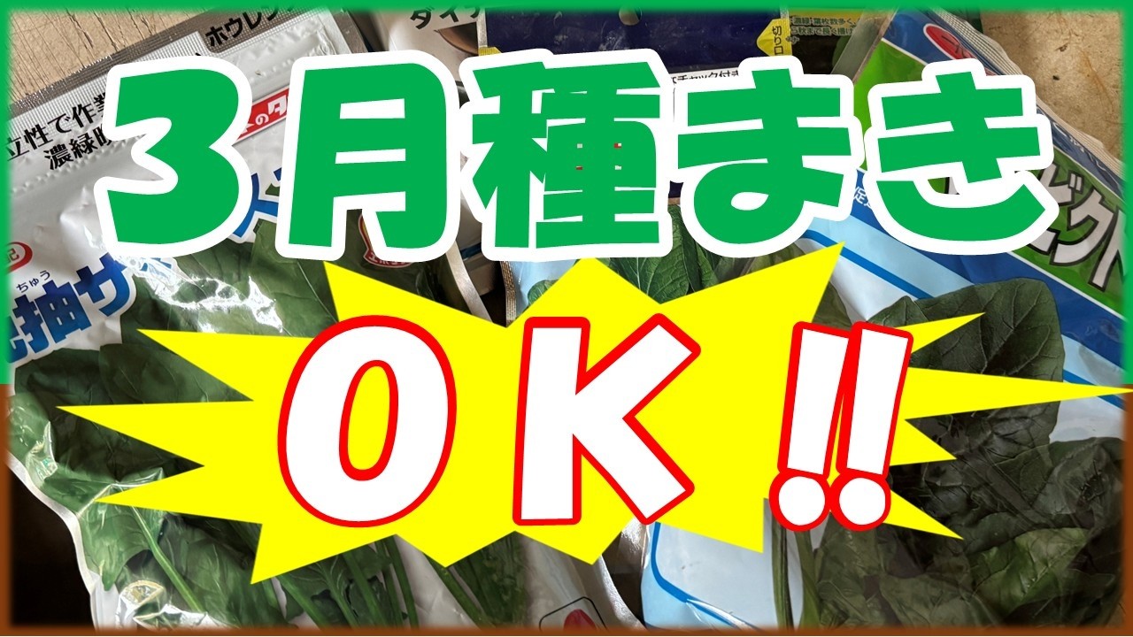 3月に種まき植え付けできる野菜まとめ