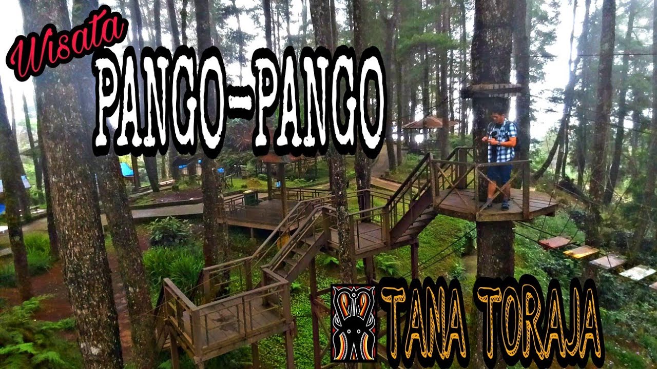 Perjalanan ke OBJEK WISATA PANGO PANGO Toraja || Negeri di atas awan || Wisata Toraja -Indonesia