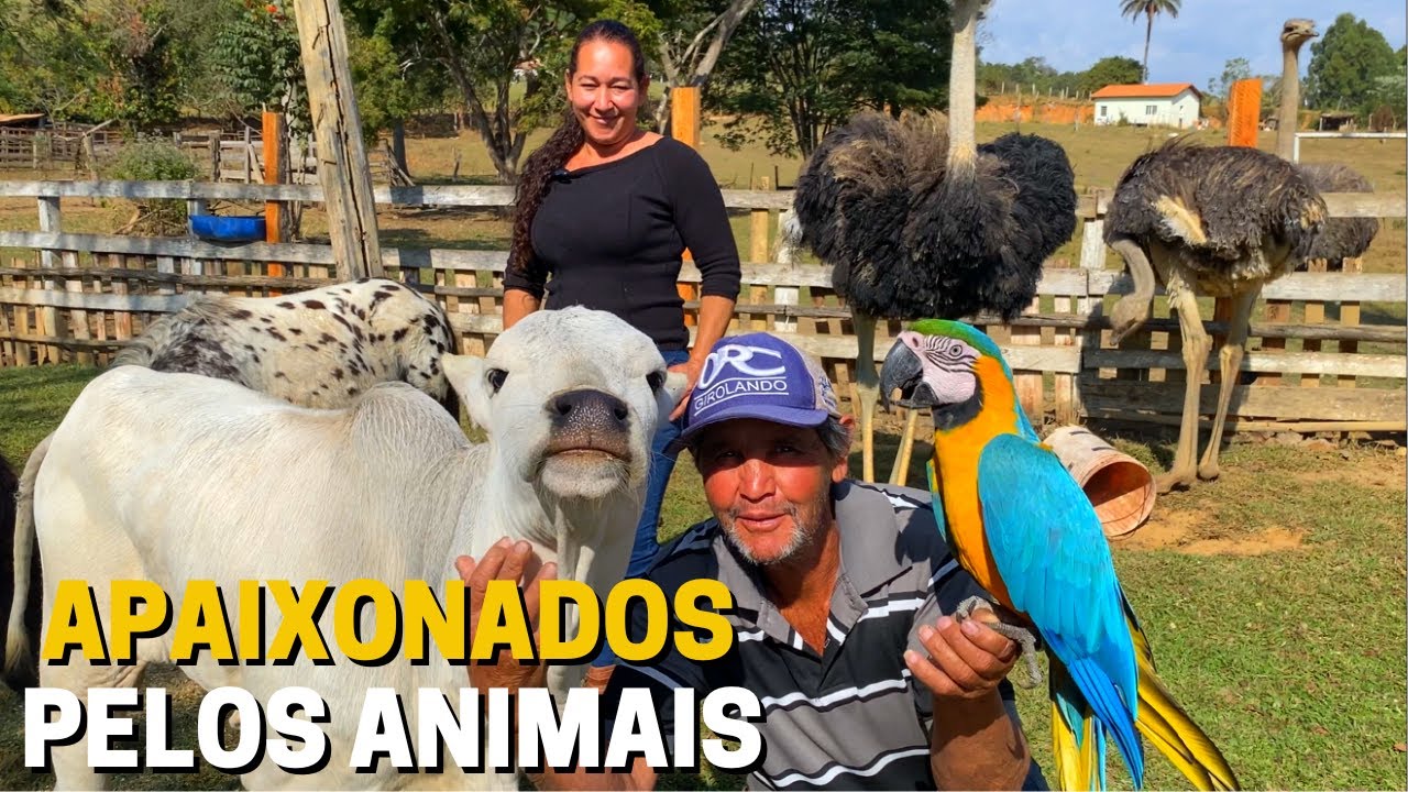 UM SÍTIO COM GRANDE VARIEDADE DE ANIMAIS MANSOS E ENSINADOS - PARTE 1