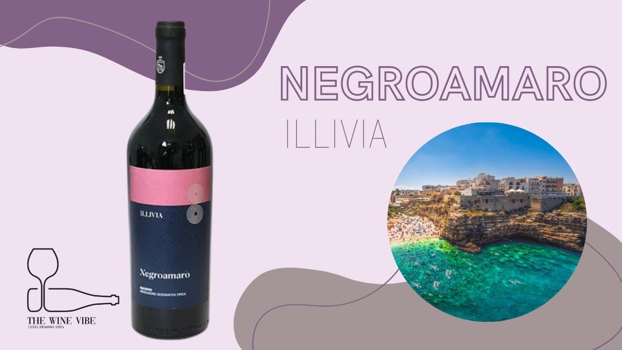 Conoce la representación de Puglia en una copa - Negroamaro - Catando Vinos