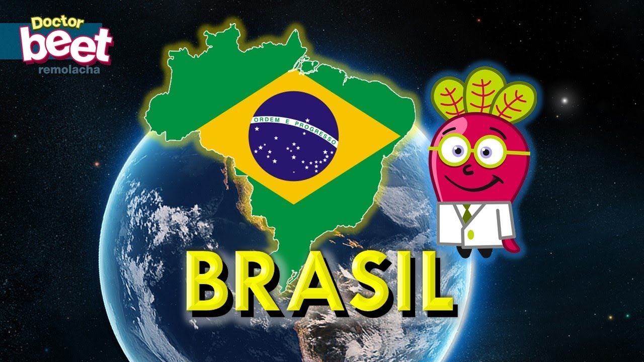 🇧🇷 BRASIL BRAZIL Mapa Estados Geografia en Español Niños