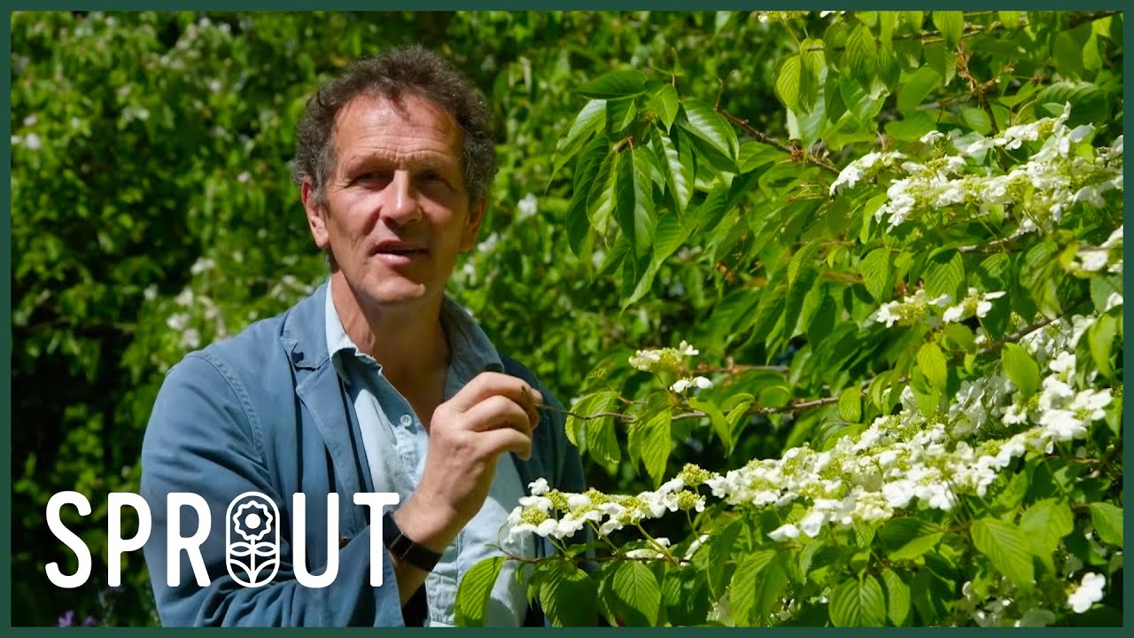 Monty Don Explains the "Chelsea Chop" Method | Gardeners' World