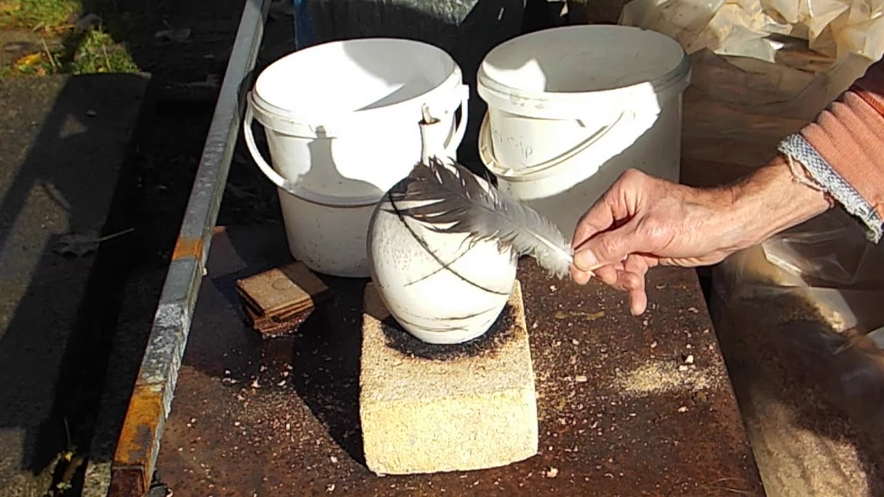 My Movie 18 Feather and Horse Hair Raku