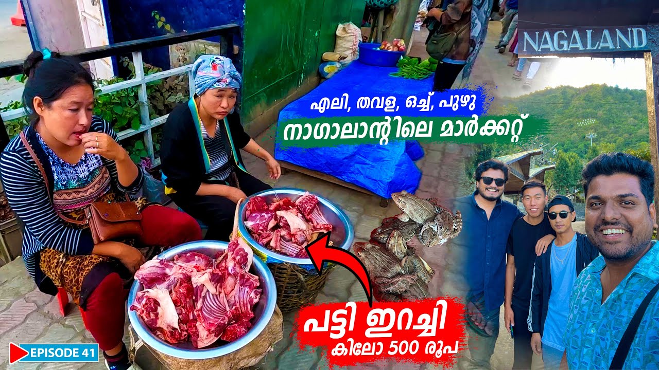 EP #41 - പട്ടി ഇറച്ചി കിലോ 500 രൂപ | നാഗാലാന്റിലെ മാർക്കറ്റ് | Nagaland Local Market