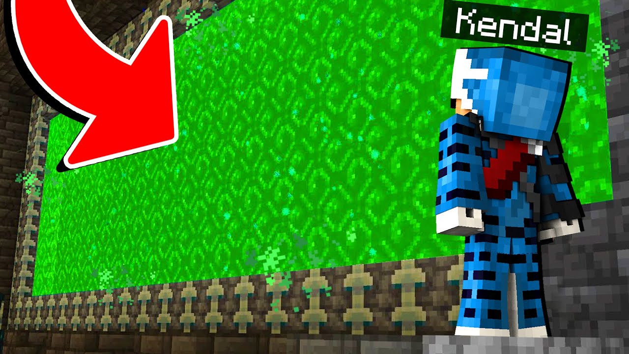 HO ACCESO IL PORTALE DEL WARDEN SU MINECRAFT - ITA