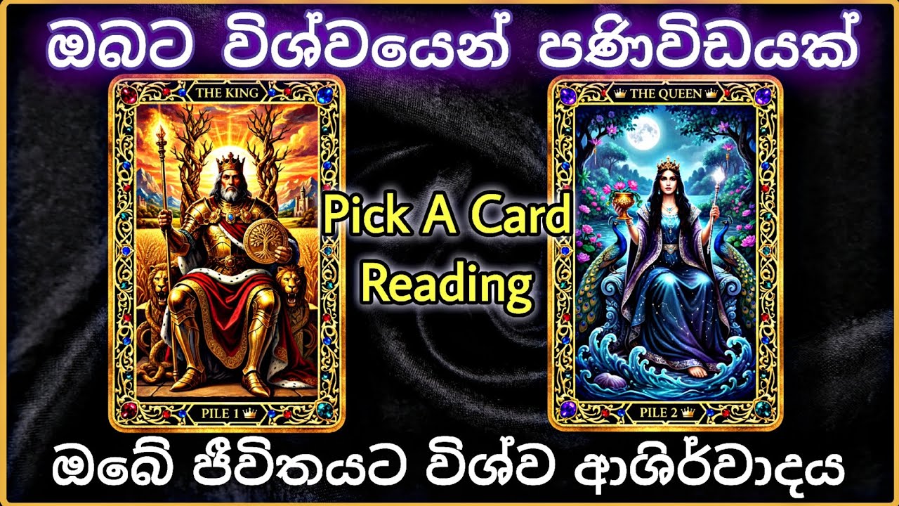 ✨ රජුද? රැජිනද? විශ්වය ඔබට අද කියන ශක්තිමත් පණිවිඩය මෙන්න! | Sinhala Pick A Card Tarot Reading 🔮