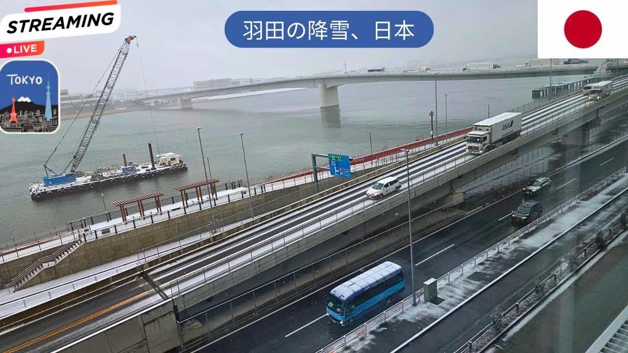 🔴 LIVE Tokyo Haneda Views – Snowy Riverfront Productivity Hub