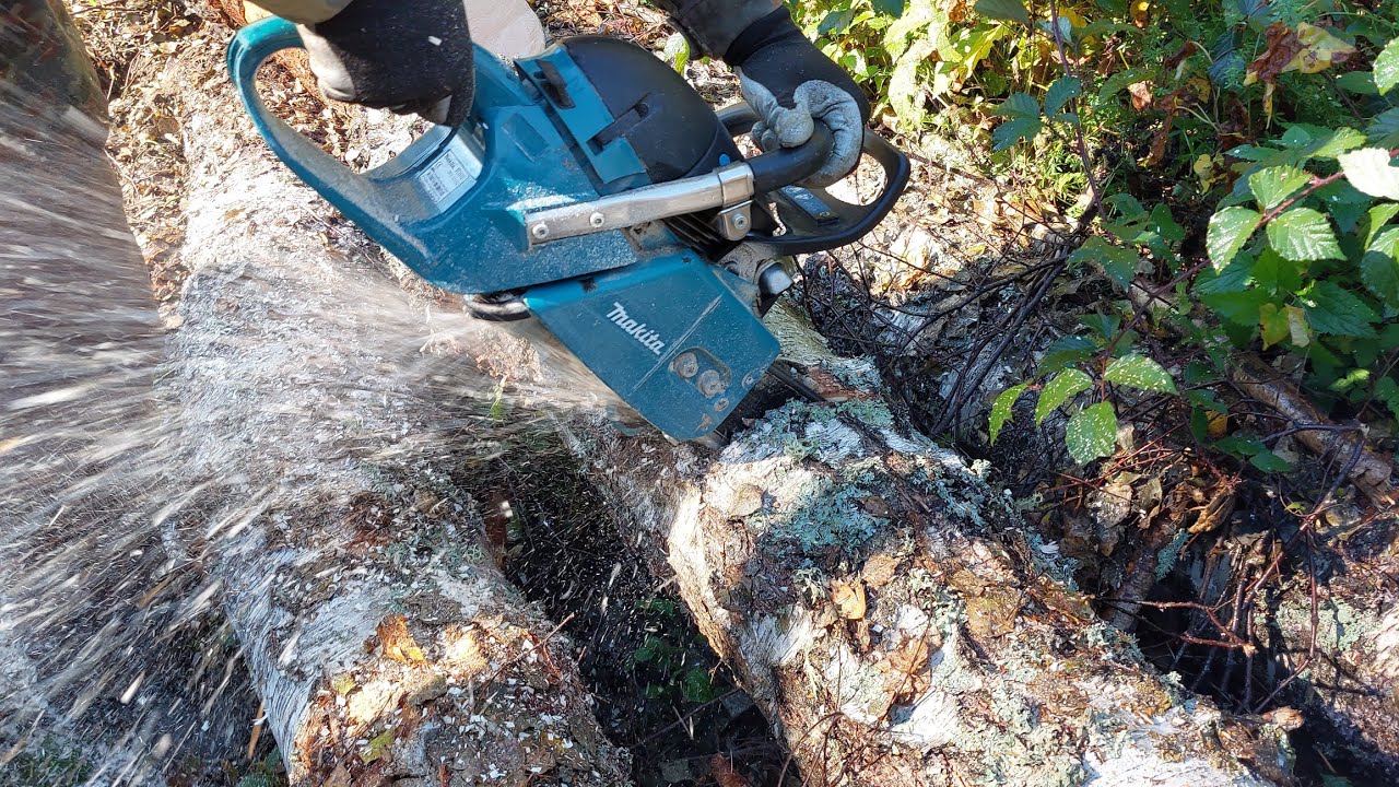 Drujba Makita 6401 la Fasonat Busteni de Mesteacan #makita #chainsaw #drujba