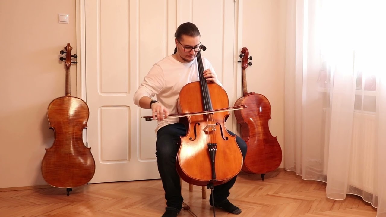 Professional Level Montagnana One Piece Back Cello 4/4 by Vivarius Workshop # 80