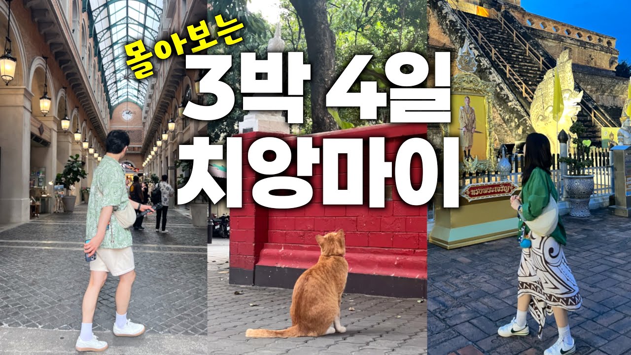 🇹🇭 14끼 | 치앙마이 full ver.