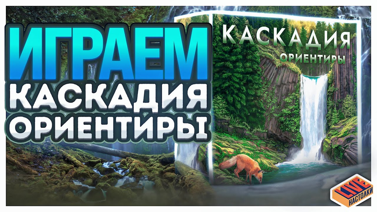 Играем в настольную игру Каскадия с дополнением Ориентиры