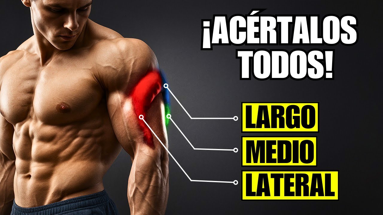 Los Únicos 3 Ejercicios De Triceps Que Necesitas Para Masa (Solo Con Mancuernas)