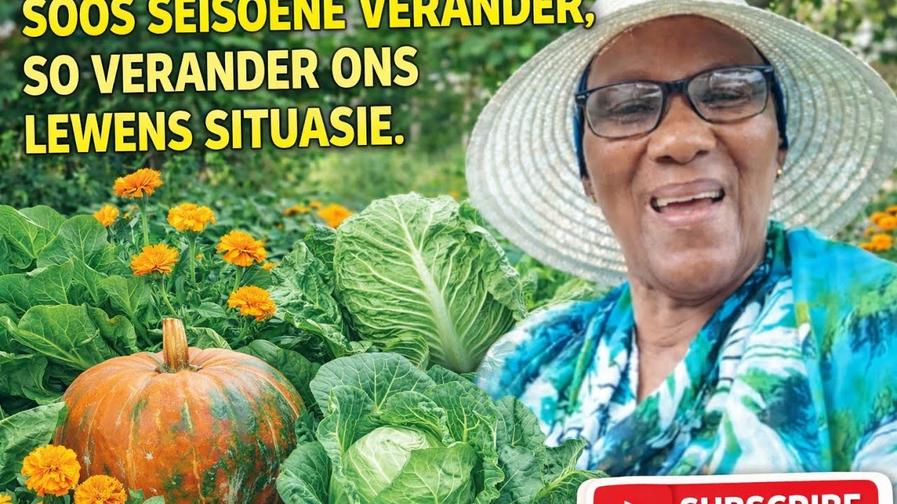 SOOS SEISOENE VERANDER, SO VERANDER ONS LEWENS SITUASIE.🙏