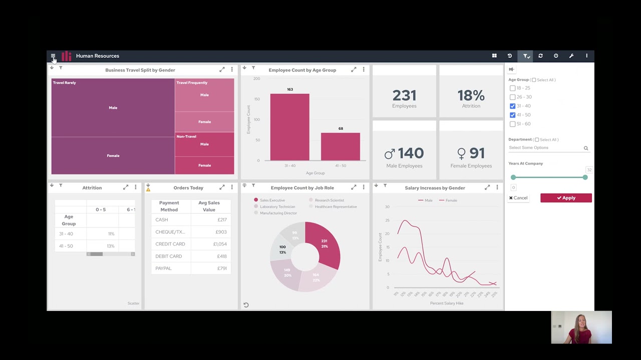 Embedding and Whitelabelling Panintelligence - Demo