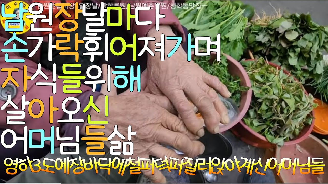 伝統市場 전북특별자치도 남원시 전통시장5일장날 농수산물시세, 어머님들장사진, 광한루원, 남원맛집 견문록♡삶2309/Namwon traditional market, korea
