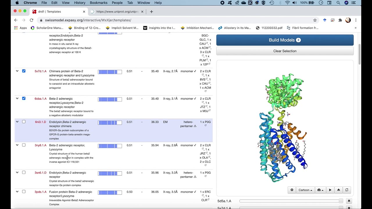 Homology modelling using SWISS-MODEL web server