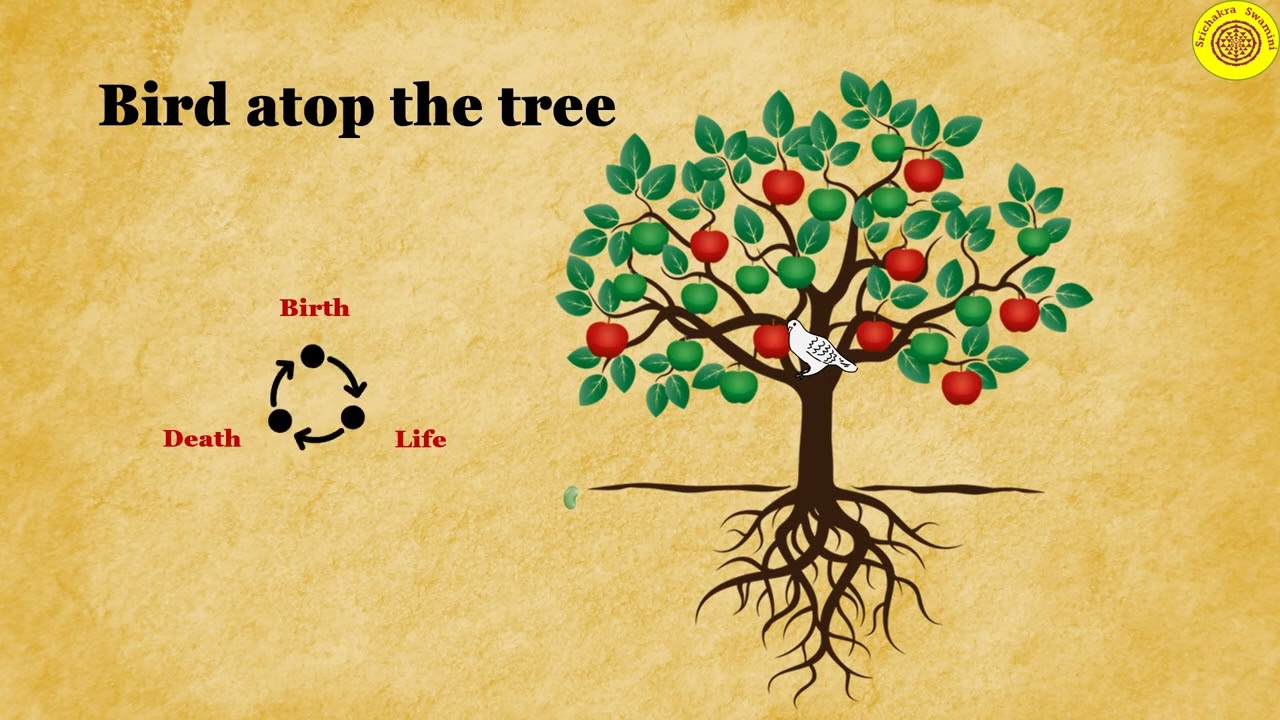 Nirvana Shatkam theme Tree of samsara (निर्वाणषट्कम्)