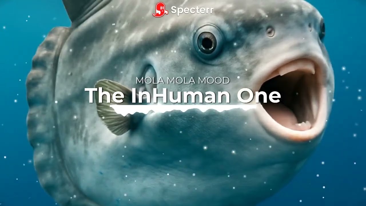 The InHuman One -  MOLA MOLA MOOD