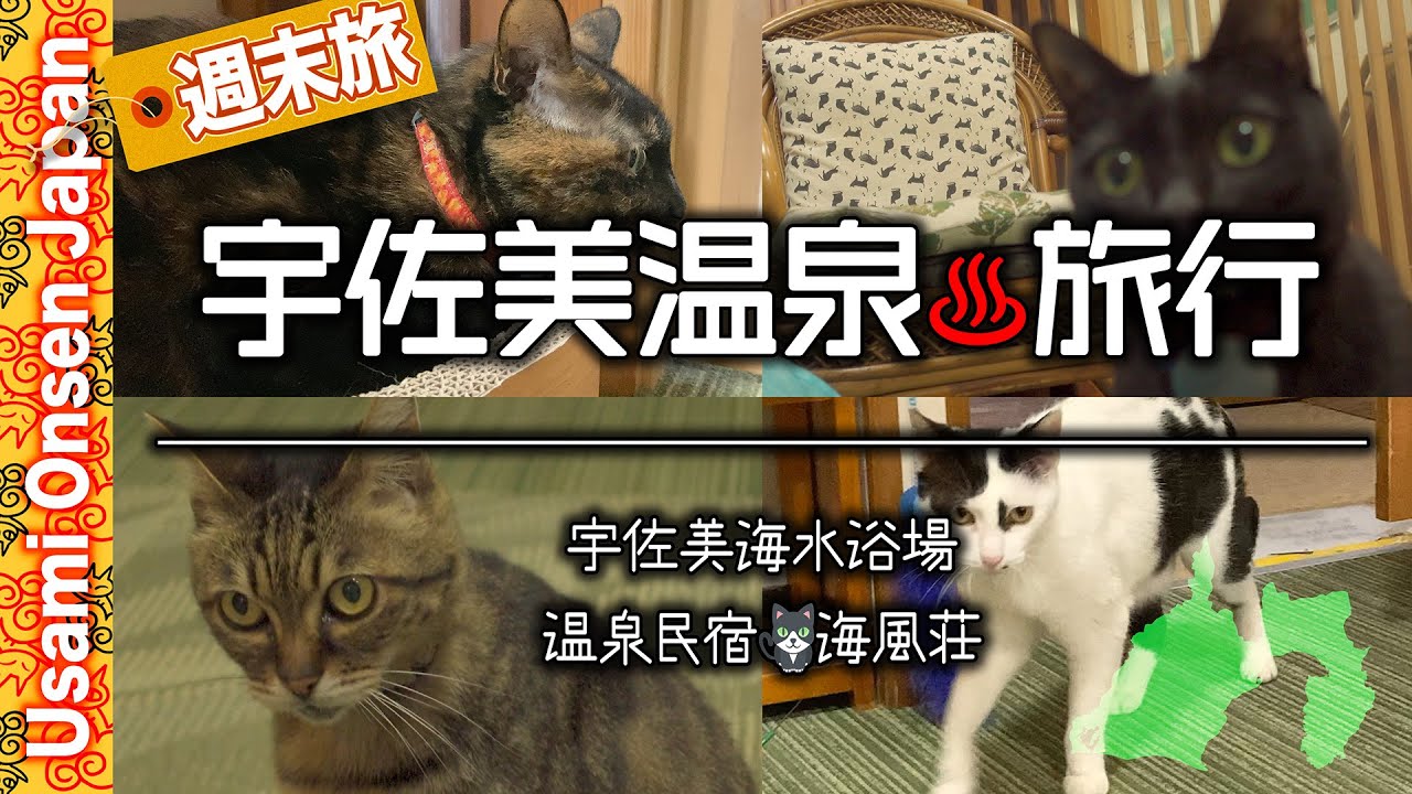 宇佐美温泉♨️旅行'21 猫のいる温泉民宿 海風荘🐱に宿泊