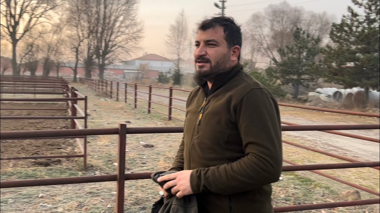 GÜNÜN İLK IŞIKLARI İLE HAYVAN ALIMINA YOLCULUK
