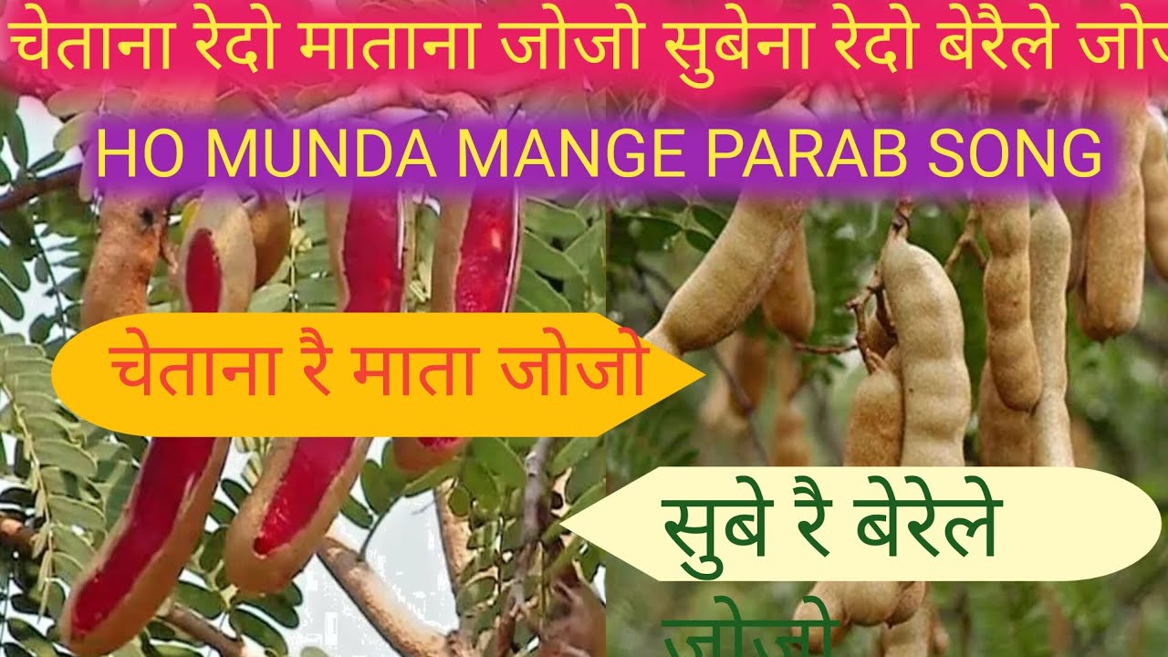चेताने रेदो मताना जोजो सुबेना रेदो बेरेले जोजो || CHETANE REDI MATANA JOJO || HO MUNDA MAGE PARAB SO