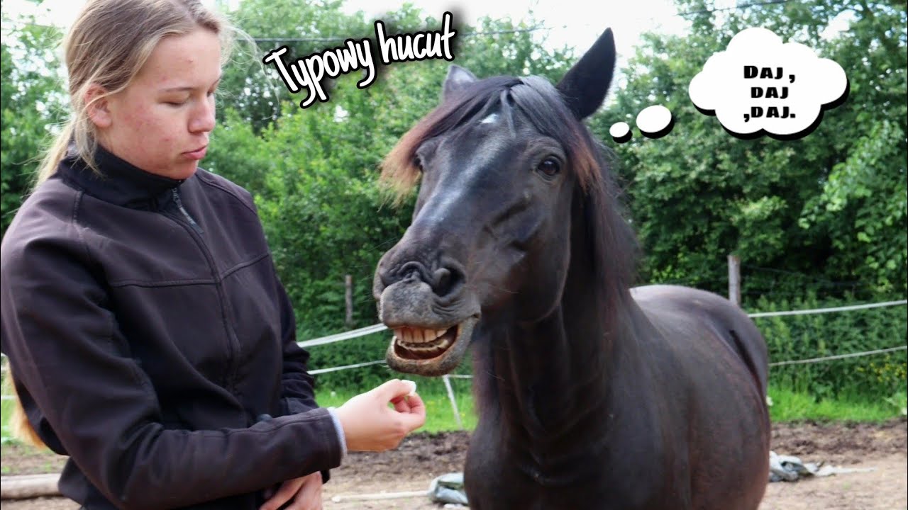 Z życia hucuła ( Simonka&Ontario)