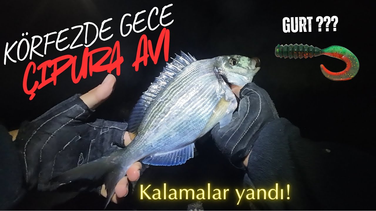 Körfezde Gece Silikonla Çipura Avı🎣 Kalamalar Yandı! #çipura #lrf #izmir
