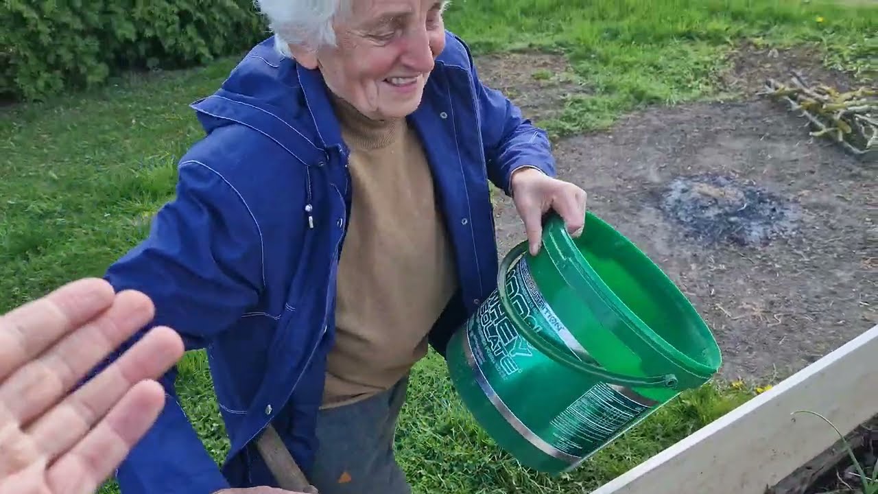 Močiutės sliekai valgo raugintus agurkus 😂