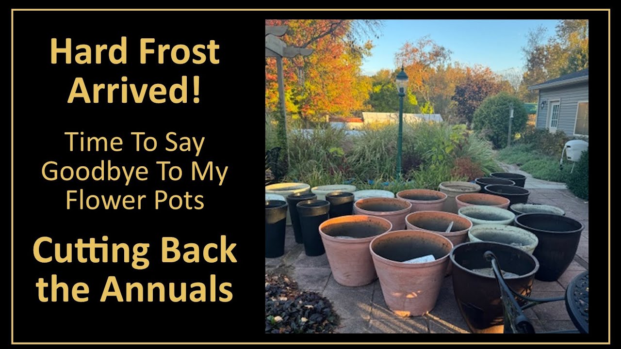 A Hard Frost Has Arrived! Time to Cut Back the Annuals.