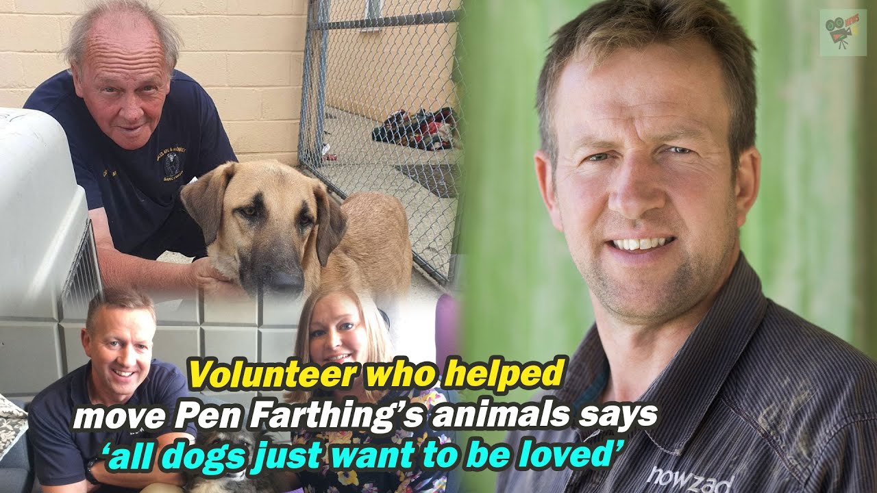 Volunteer who helped move Pen Farthing’s animals says ‘all dogs just want to be loved’, World News