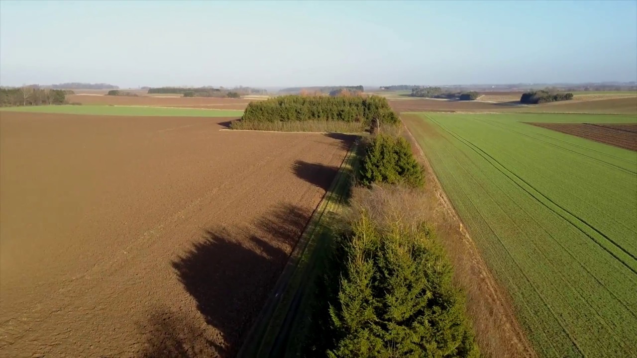 First flight with the mavic