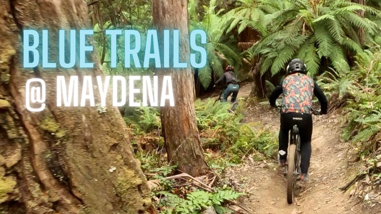 What are Blue Trails at Maydena like?