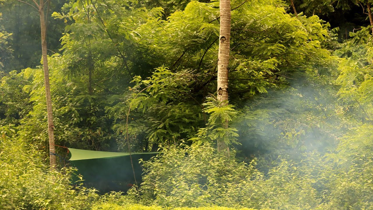 Hiking and camping with the Family | Trangia alcohol stove field testing | Day camp Adventure