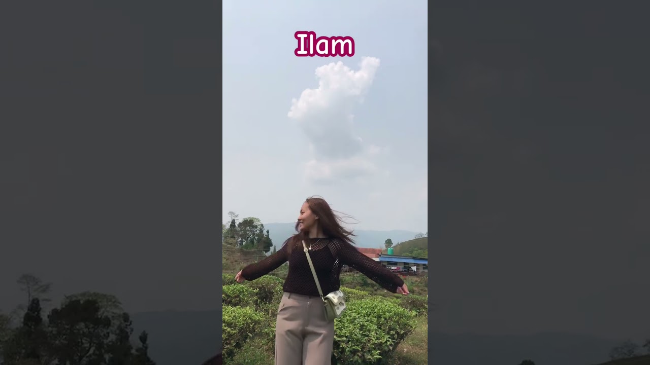 ilam tea garden
