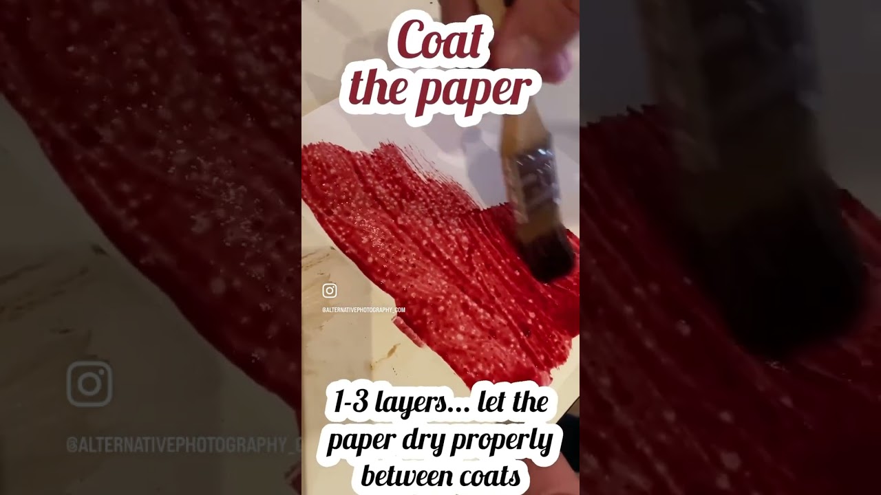 How to make an anthotype. More info in comment. #anthotype #short #worldanthotypeday #anthotypes