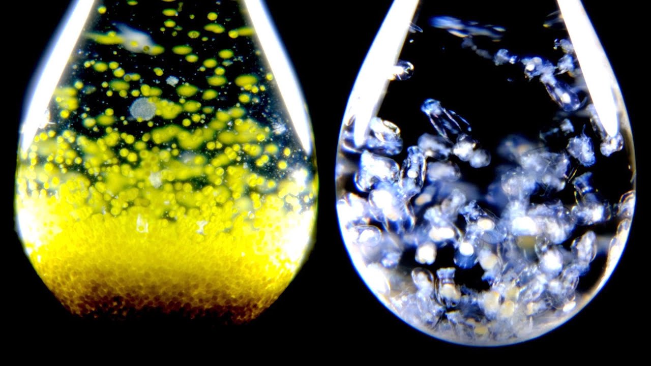 Every Water Drop is a Universe
