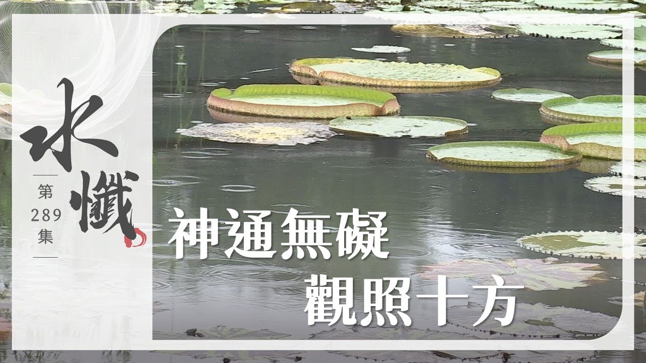 【法譬如水】 神通無礙 觀照十方｜六神通(二) - 第289集｜水懺｜慈悲三昧水懺｜ 20250901