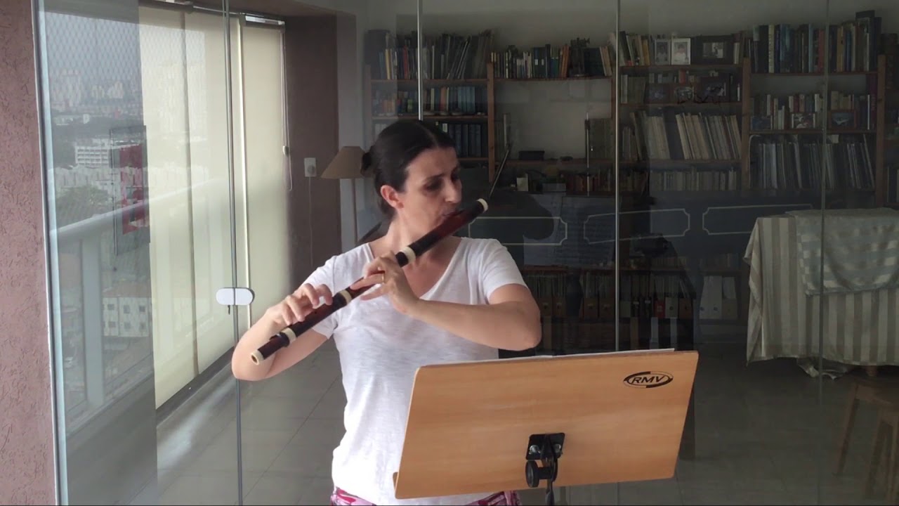 G. Ph. Telemann - Fantasia IX in E major for solo flute - TWV 40:10 1.mov
