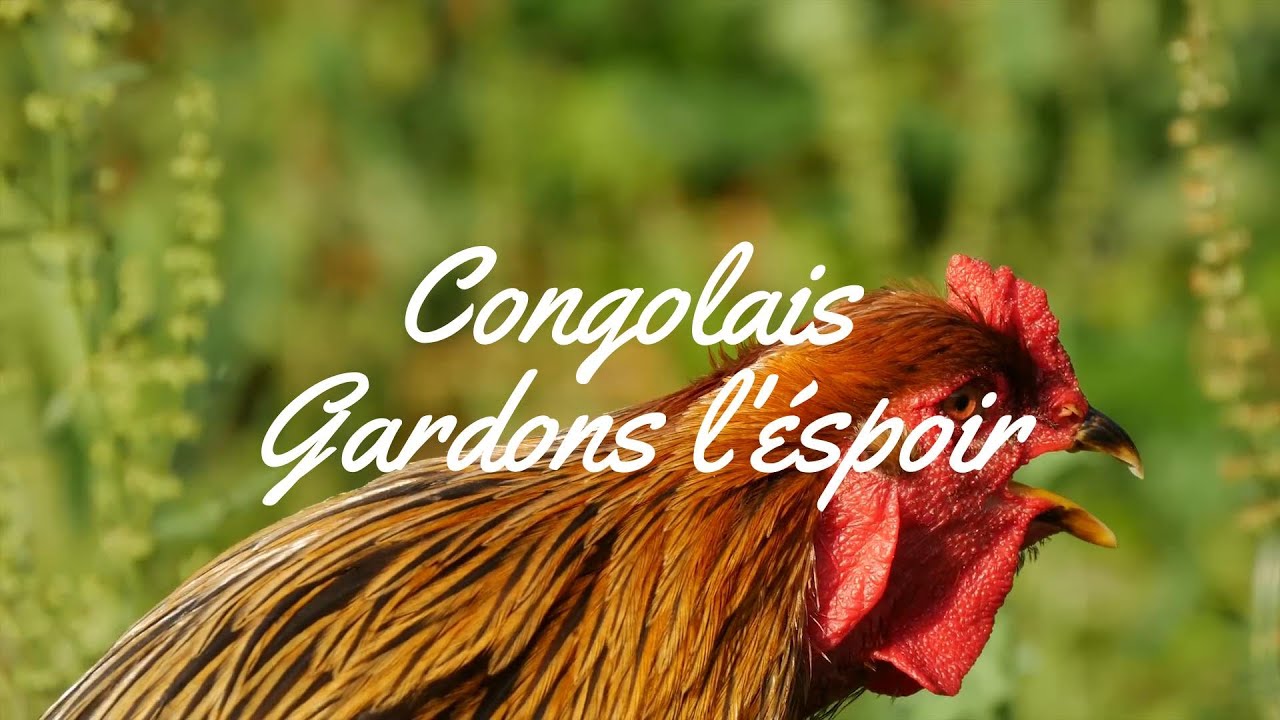 Chant patriotique CONGOLAIS GARDONS L'ESPOIR