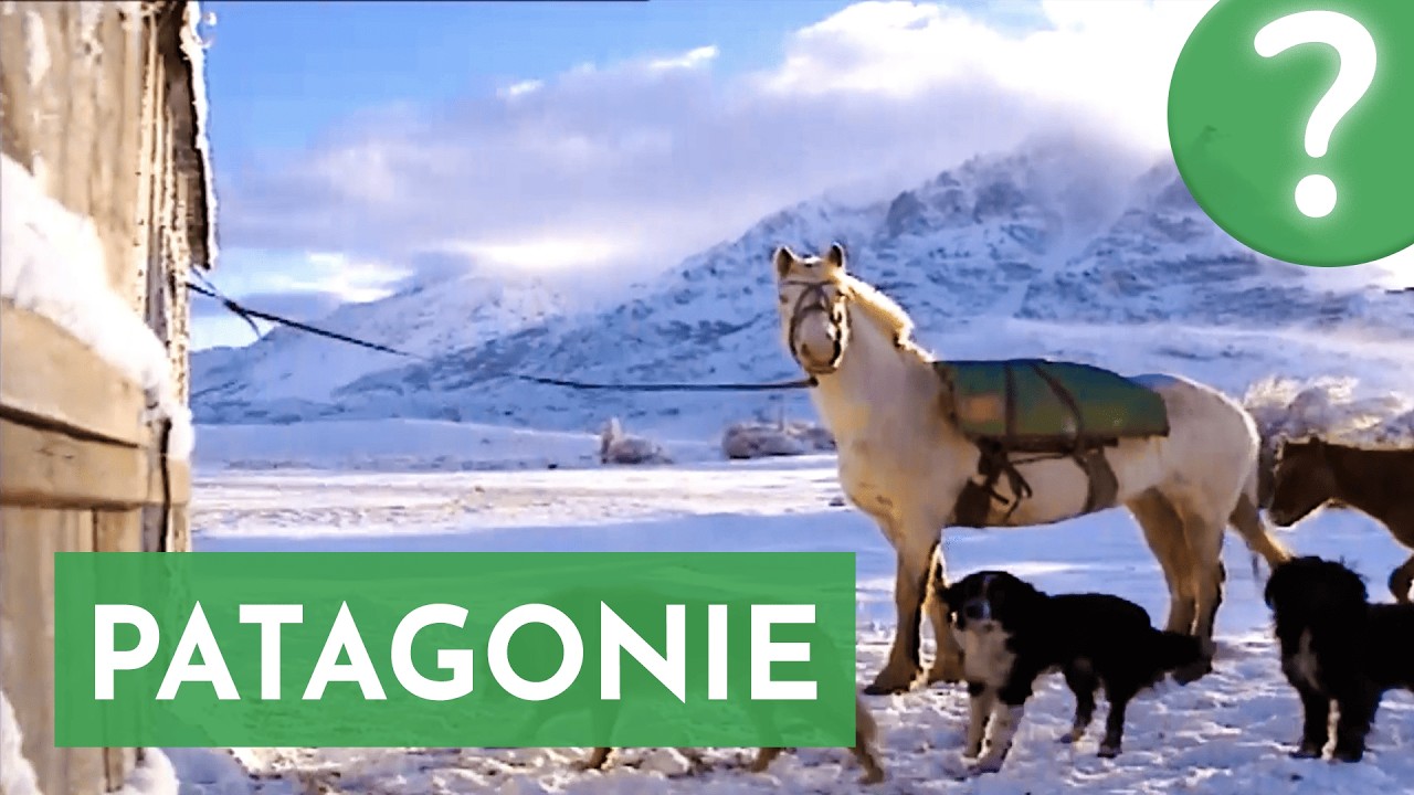 Patagonie : Nomades des terres du vent