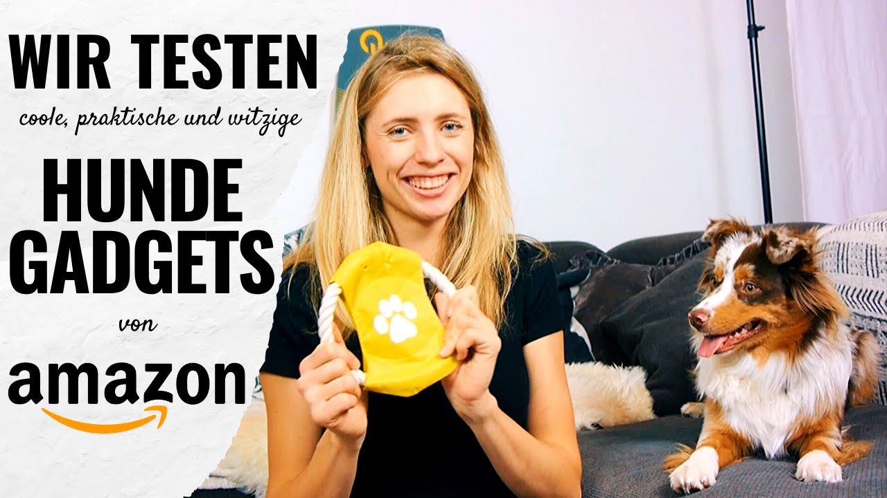 7 coole Hunde Gadgets von Amazon im Test!
