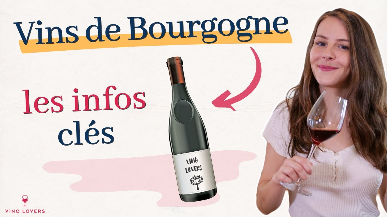 Vins de Bourgogne : l'essentiel à savoir pour mieux comprendre ce vignoble