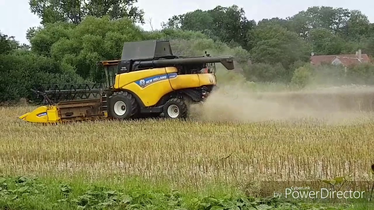 Så bliver der høstest med New Holland mejetærsker
