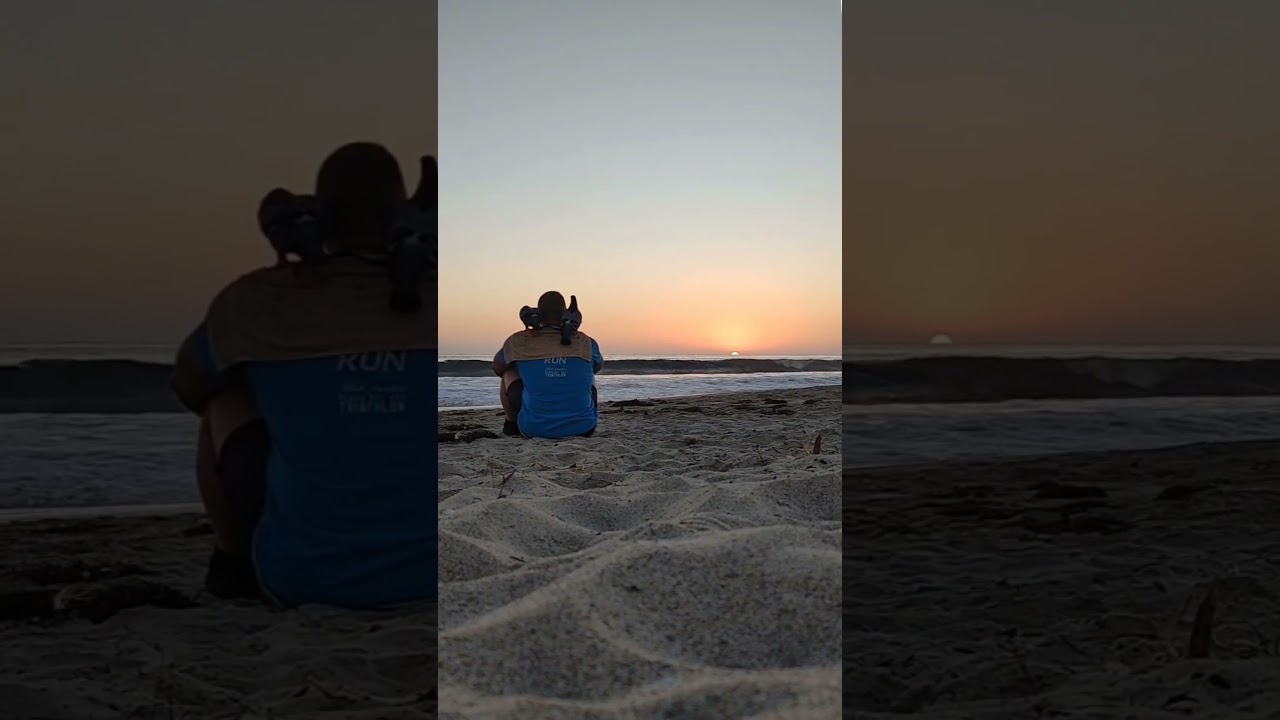 Beach Pigeons, Sunset, Surf, and William Orbit