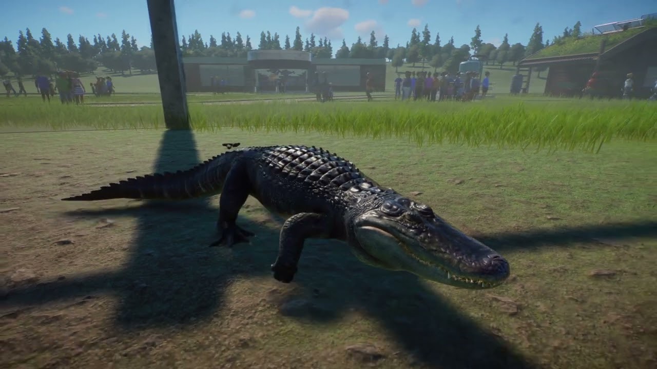 Planet Zoo - American Alligator