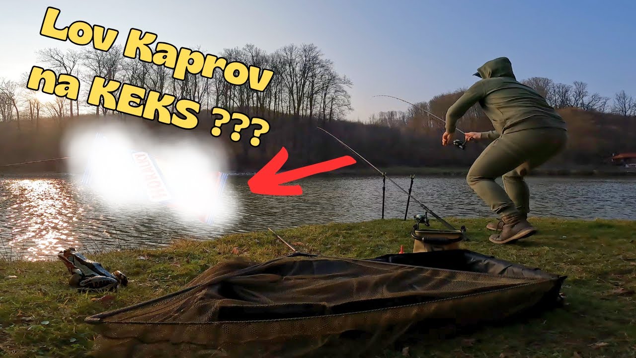 🎣Lov rýb na KEKS ?🍪  Amurom a Kaprom to teda chutilo! Areál Pohody