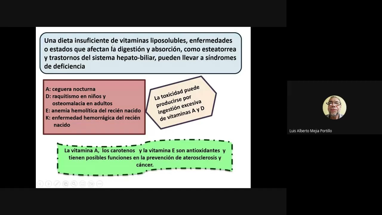 Clase 4 vitaminas y minerales biok 2023